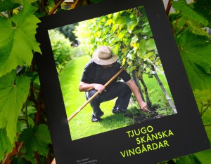 tjugo-skc3a5nska-vingc3a5rdar