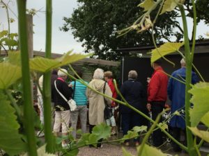 Annorlunda perspektiv